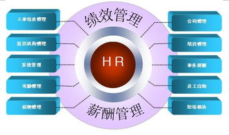 企业管理系统大扫盲 11大常见企业管理软件